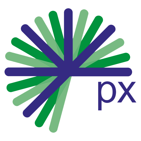 px-group logo