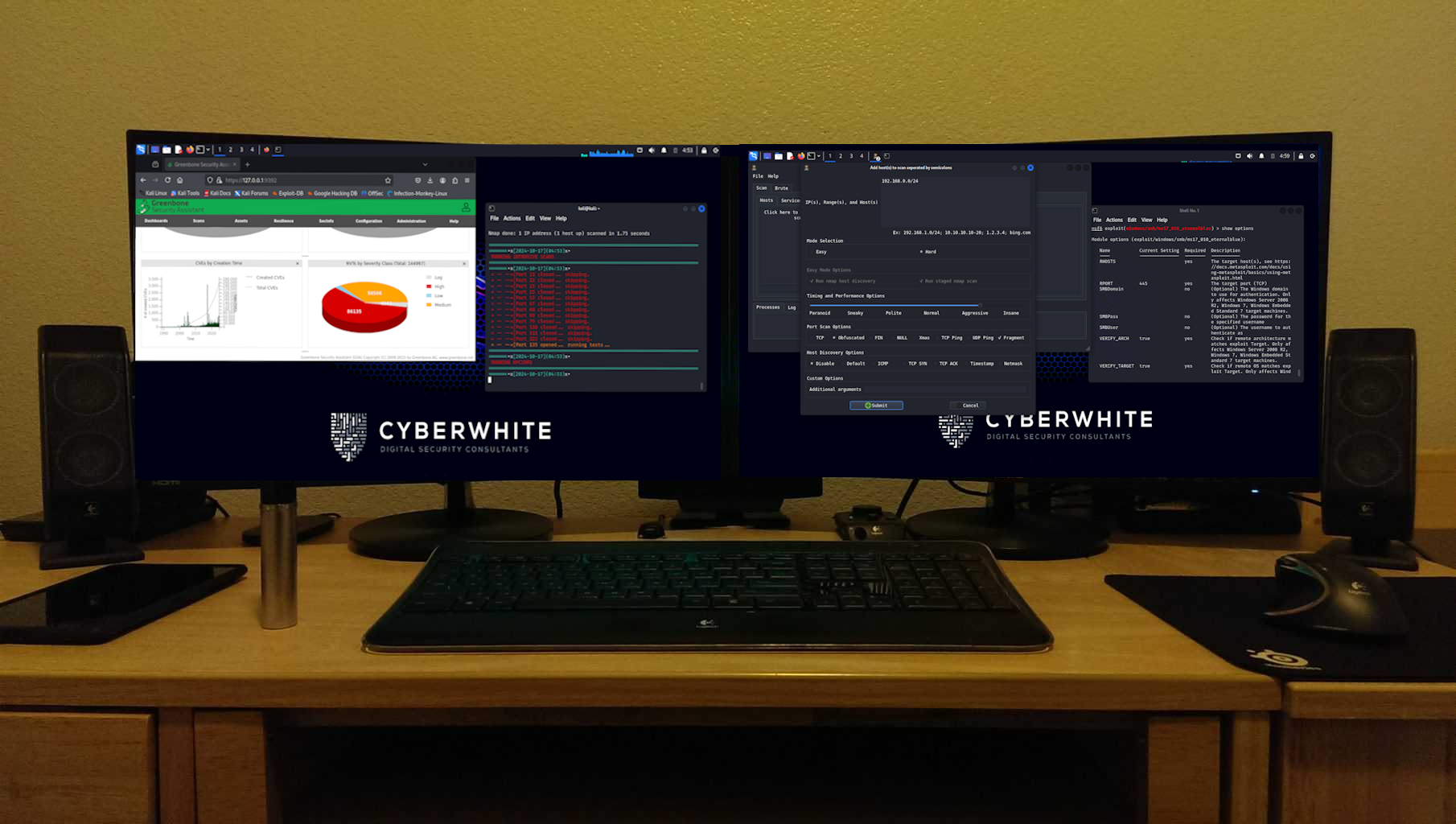 Two decades of penetration testing